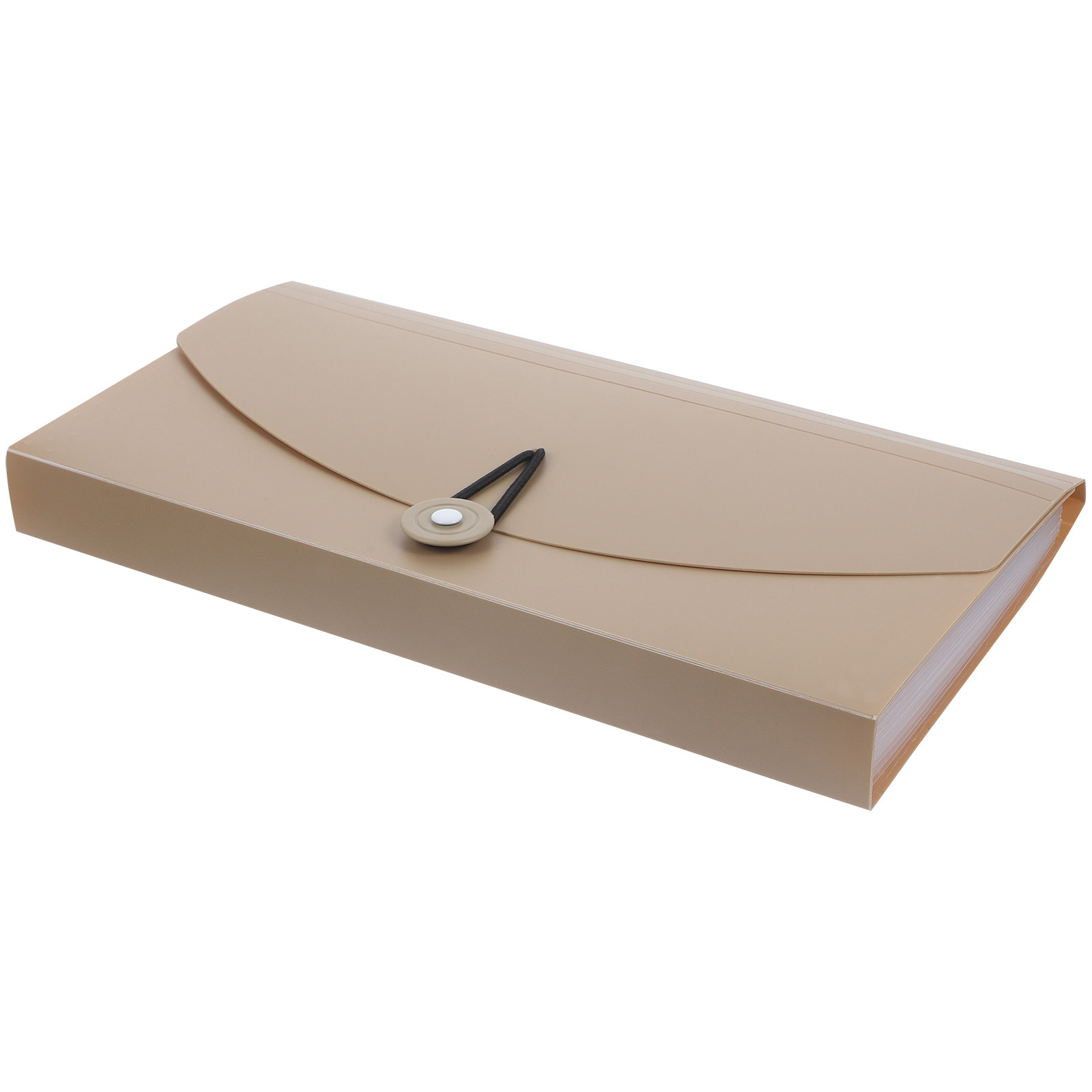 Expandable Accordion File Folder 13 Pockets - Organizzatore per documenti a 13 tasche,